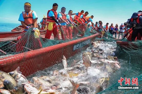 博斯腾湖。潘琦 摄