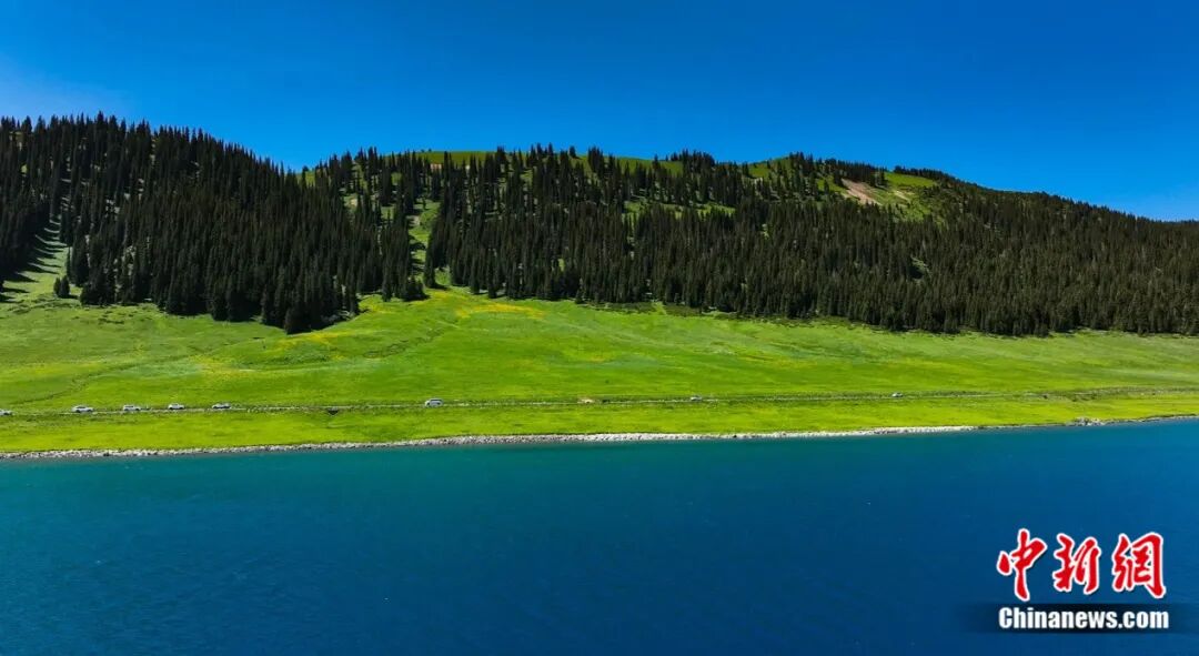 赛里木湖。钟大玮 摄