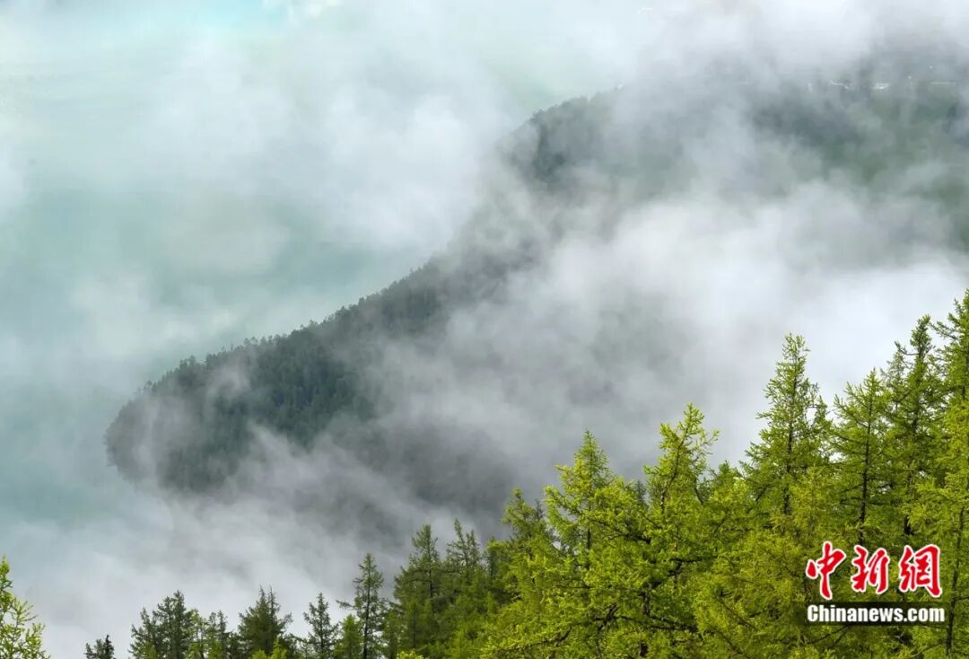 新疆喀纳斯湖。雷东翔 摄