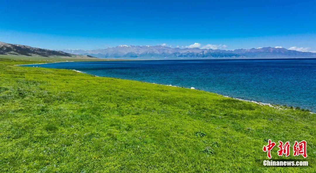 赛里木湖。钟大玮 摄