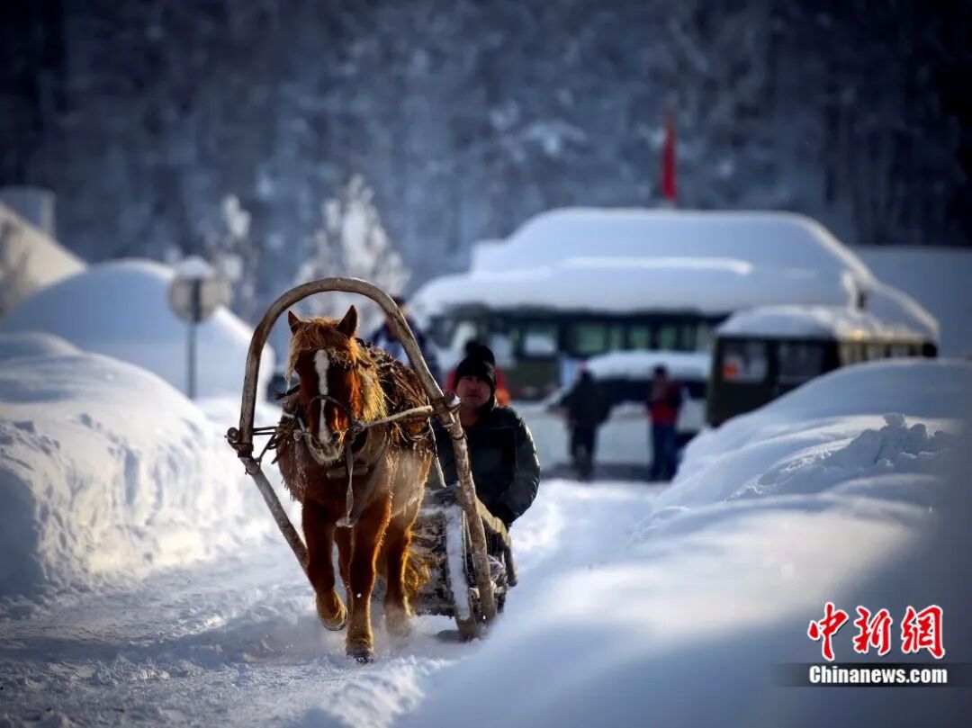 喀纳斯湖畔的禾木村，冬季常年被冰雪覆盖，马拉爬犁成为一道景观。刘新 摄