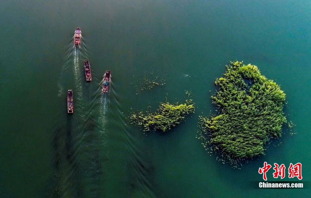 乌伦古湖。刘新 摄