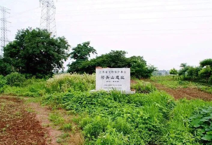 微信图片_2026-06-16_173718_428_副本.jpg