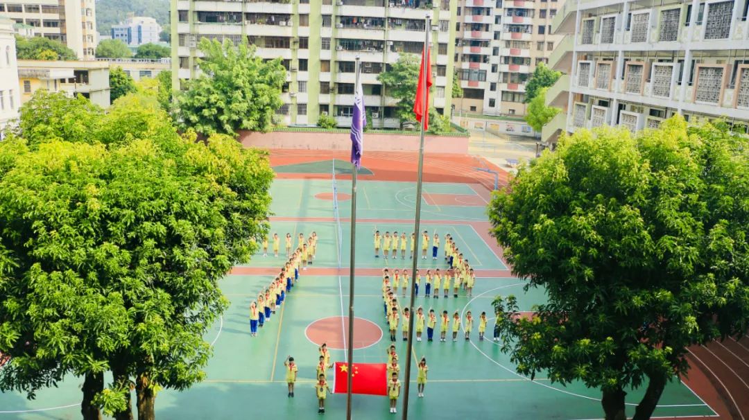 新宁小学▲任远中学▲都斛中心小学▲台城二小▲台山一中