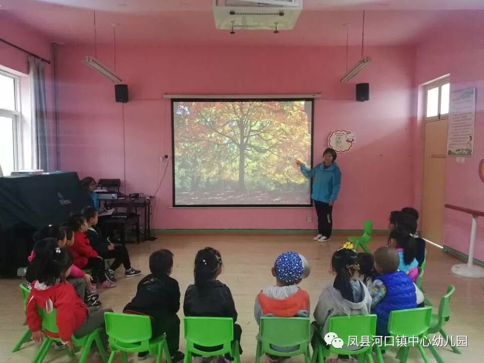 凤县河口镇中心幼儿园新任教师综合素质展评活动（最新发布）