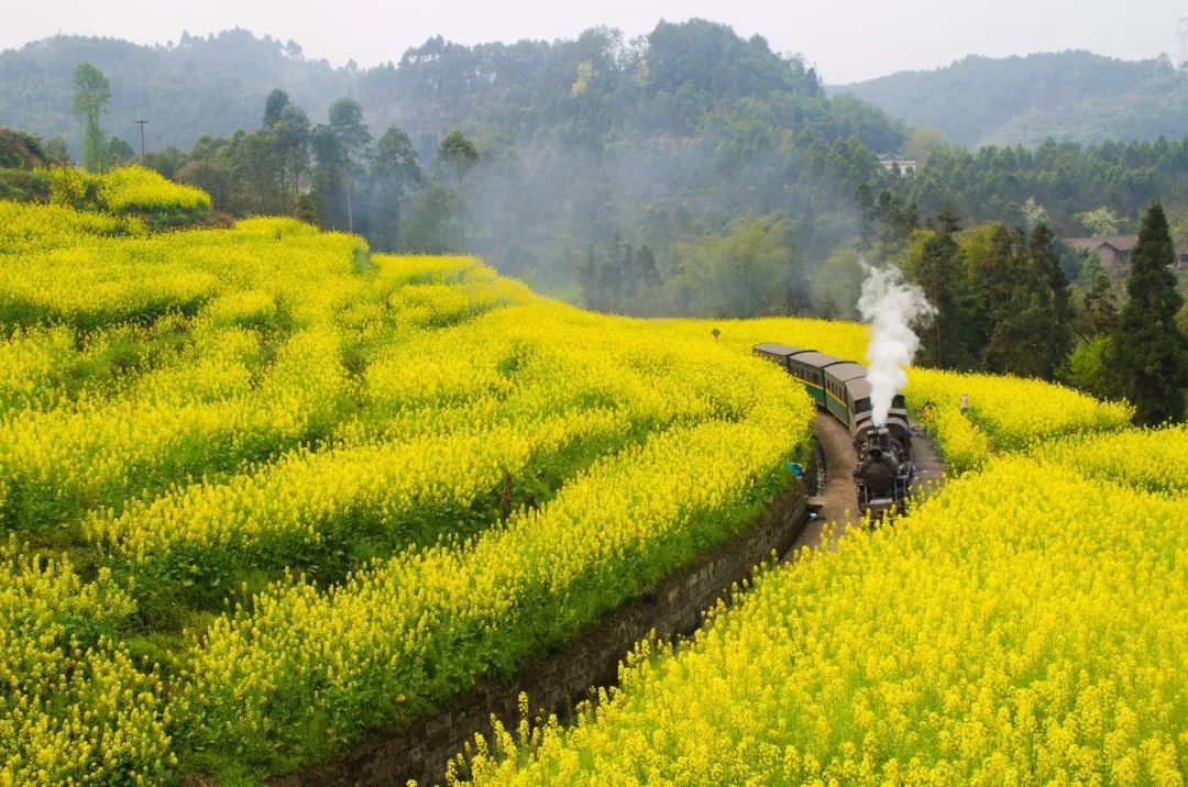 四川，有1000種方式讓你愛上它 旅遊 第10張