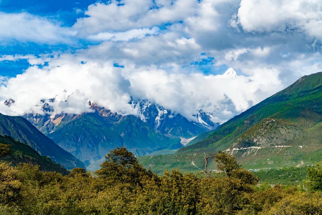 西藏的春天，把摄影师都逼疯了...