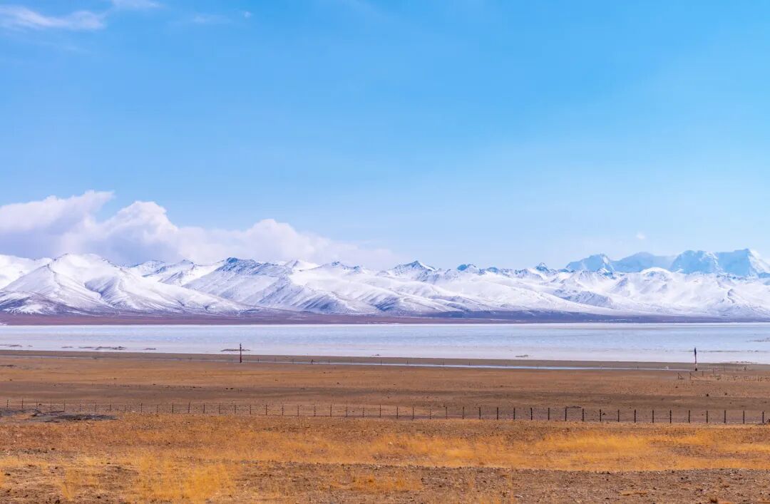 西藏的春天，把摄影师都逼疯了...