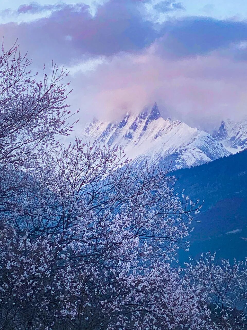 西藏的春天，把摄影师都逼疯了...