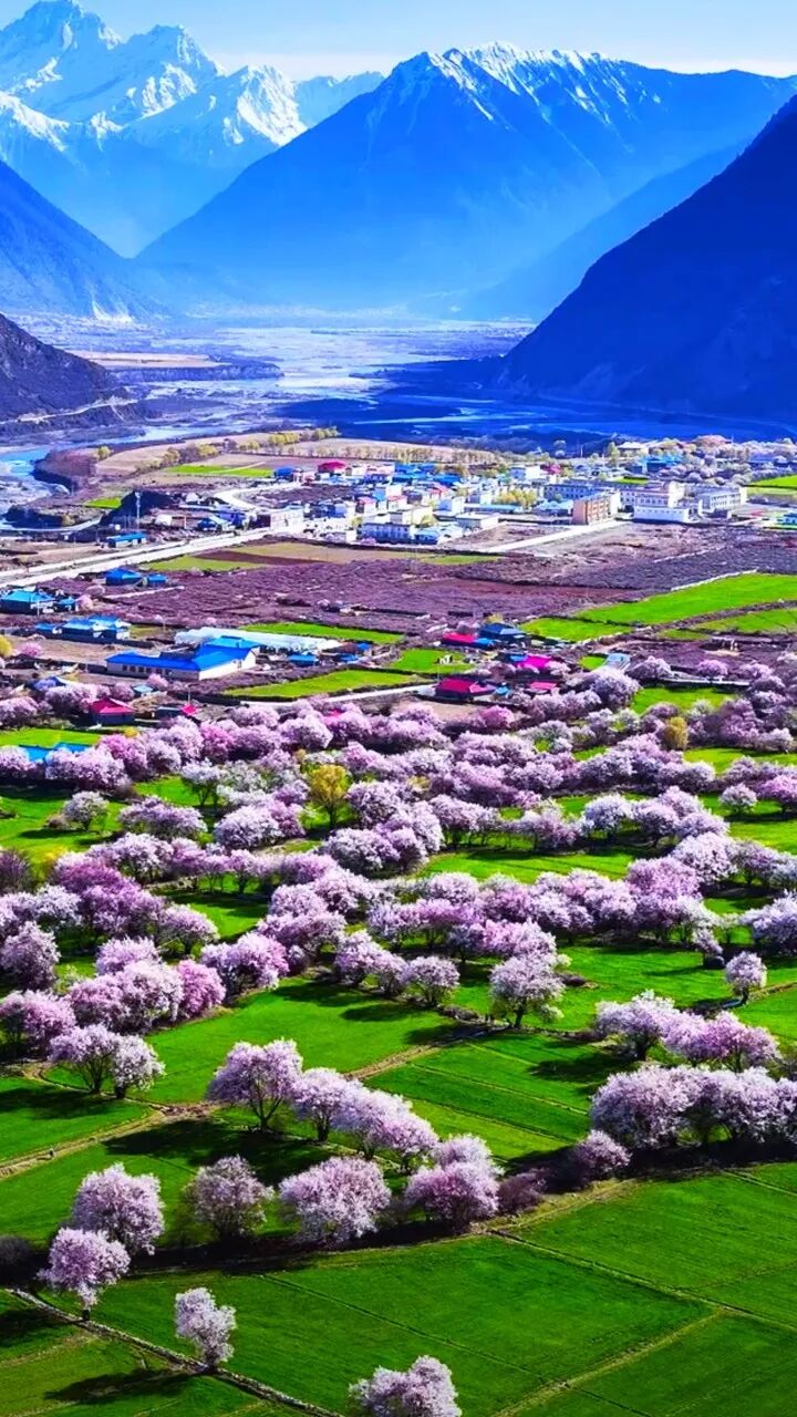 西藏的春天，把摄影师都逼疯了...