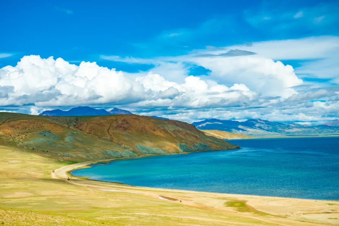 西藏的春天，把摄影师都逼疯了...