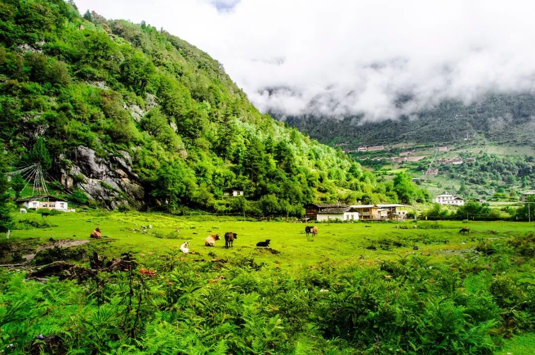 不去天堂，就去雨崩。 旅行 第18張