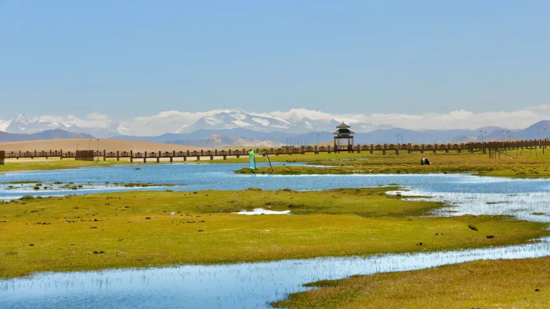 西藏的春天，把摄影师都逼疯了...