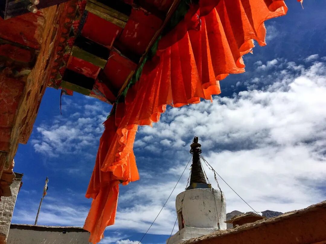 西藏的春天，把摄影师都逼疯了...