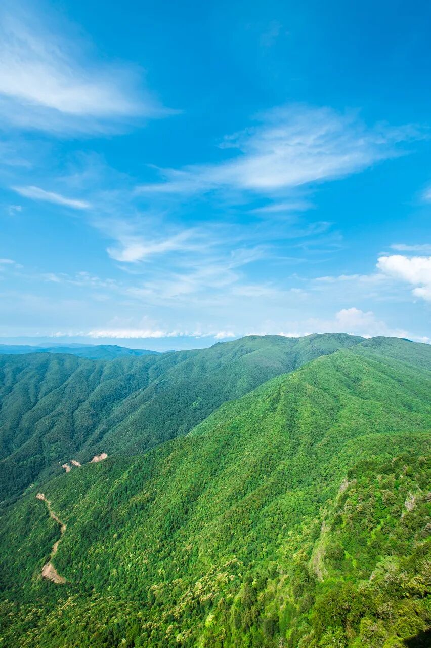 适合一个人散心的9个地方抽空去享受一个人的旅行