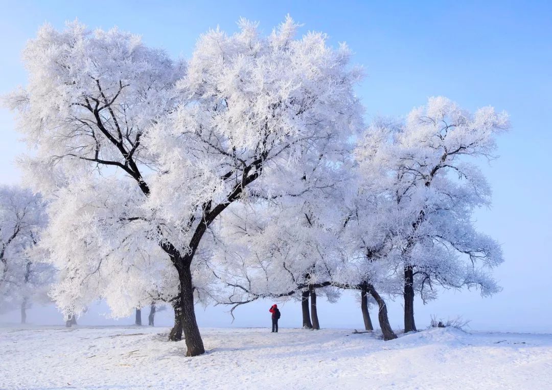 中國最美的雪國列車，一路向北，開往童話之地，美哭！ 旅遊 第13張