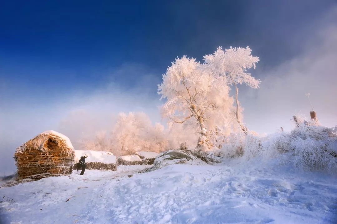 中國最美的雪國列車，一路向北，開往童話之地，美哭！ 旅遊 第15張