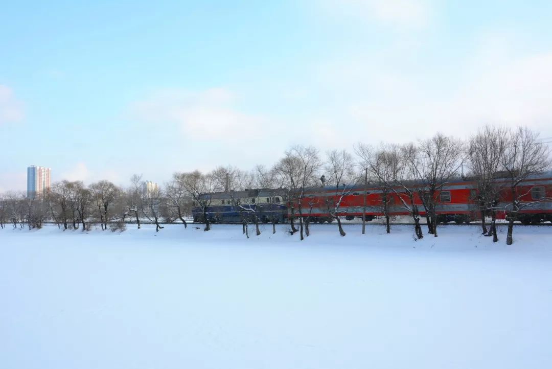 中國最美的雪國列車，一路向北，開往童話之地，美哭！ 旅遊 第4張