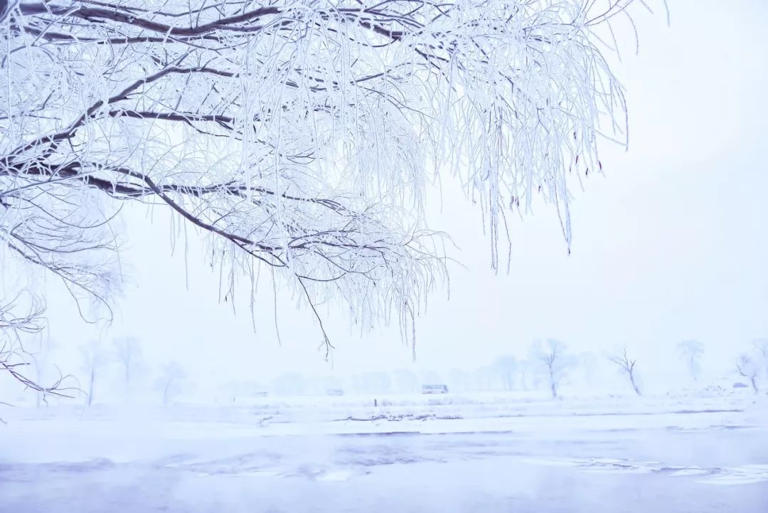 中國最美的雪國列車，一路向北，開往童話之地，美哭！ 旅遊 第14張