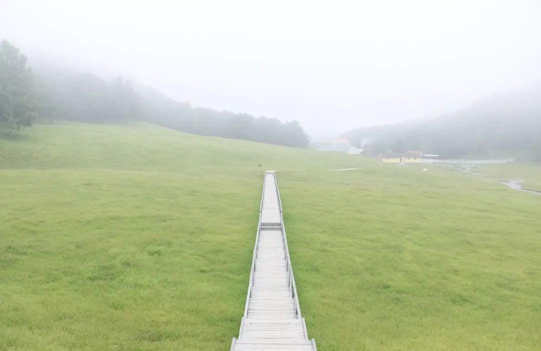 國內最美避暑洗肺聖地，這才是盛夏該去的地方。 旅行 第10張