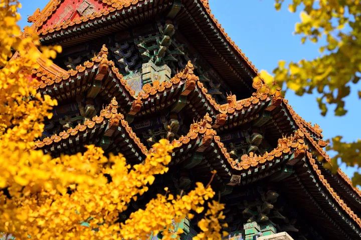 台灣旅館聯盟選文 / 中國最美的99個旅行目的地，走過20個，你就是超級旅行達人 旅行 第96張