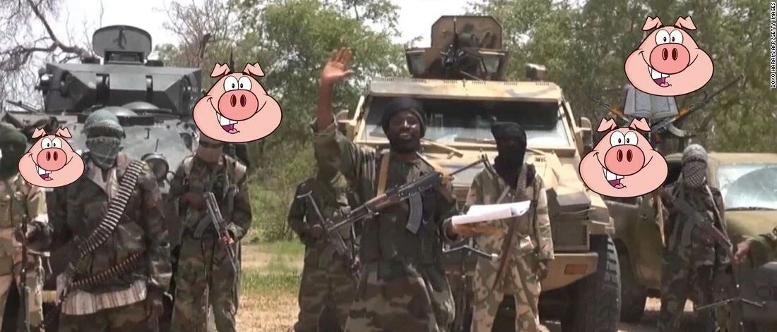 舍本逐末：尼日利亚收缩力量打击“博科圣地” 却将平民暴露在恐怖分子的威胁下