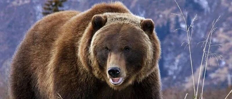 俄罗斯普通网友对乌克兰危机的评论：俄罗斯还有什么可害怕的？