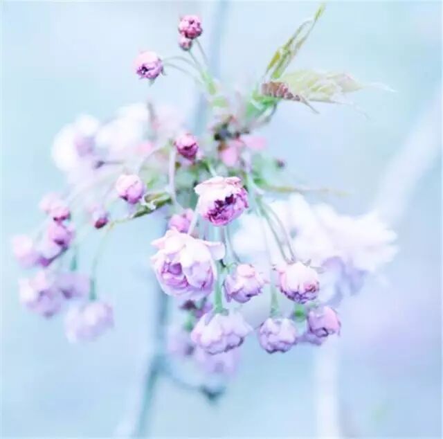 做好自己，别管别人怎么说！