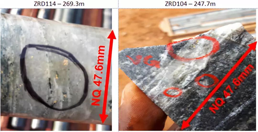 铁拓确定阿布贾金矿戈卢德赫矿体高品位金走向长度超1000米