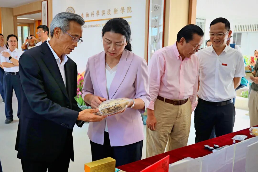 古天乐代言太阳集团城