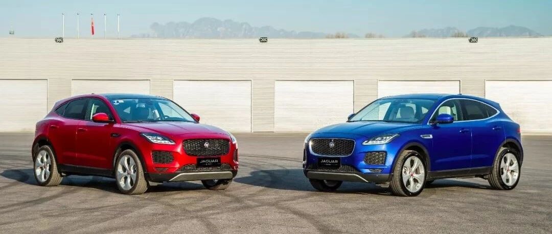 小豹子带你去撒野~