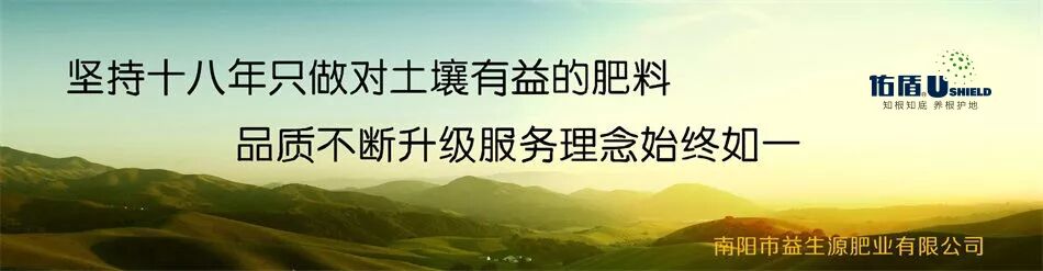 中國農民豐收節