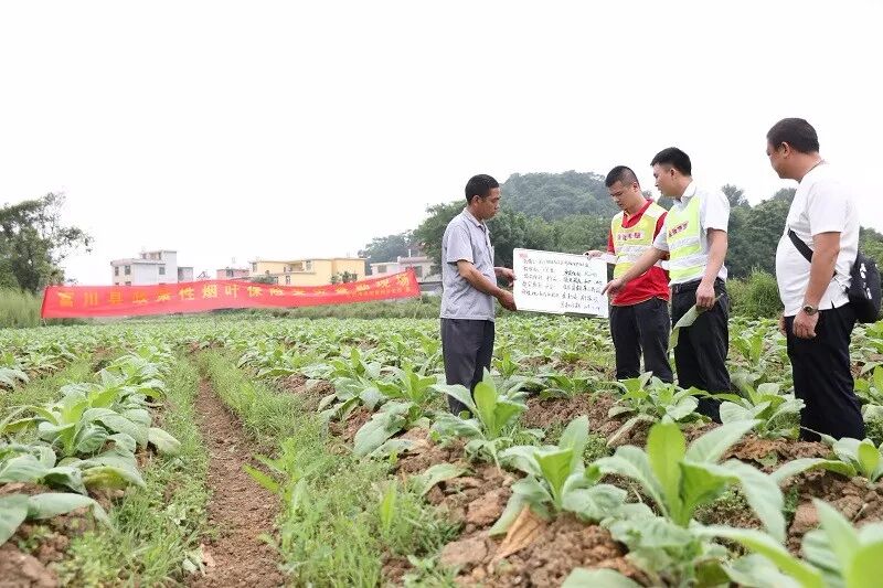 北部湾保险_清远北部万科城_沈阳皇姑塔湾保险
