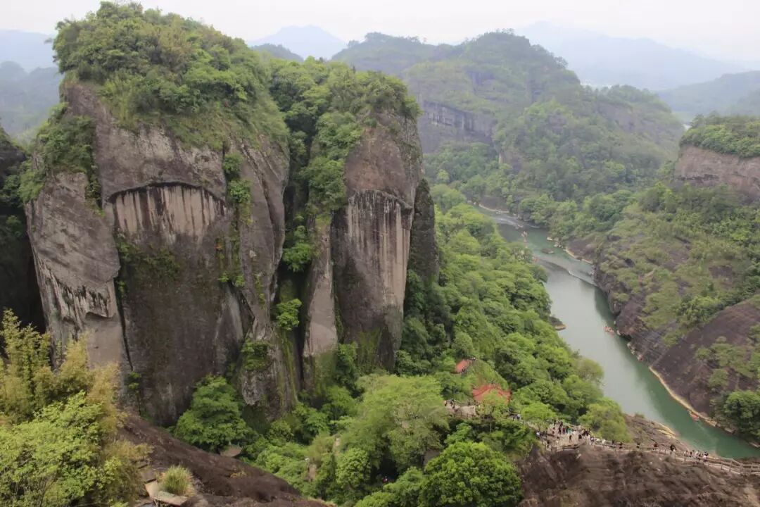 武夷岩茶知识|岩茶品鉴的四个“三”