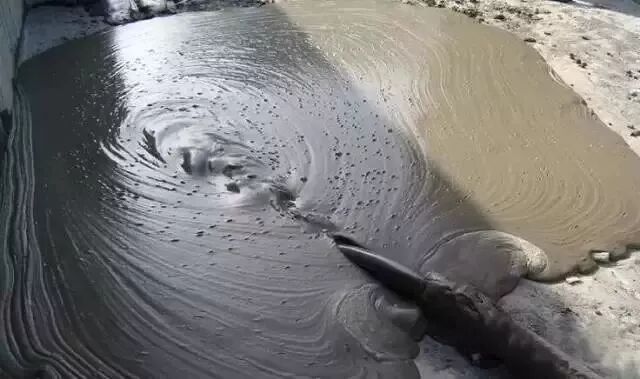 关于混凝土的“十万个为什么”的图5