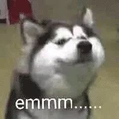 其实都没有歌词 你听过最没有逻辑的歌词是什么？网友评论笑到飙泪……