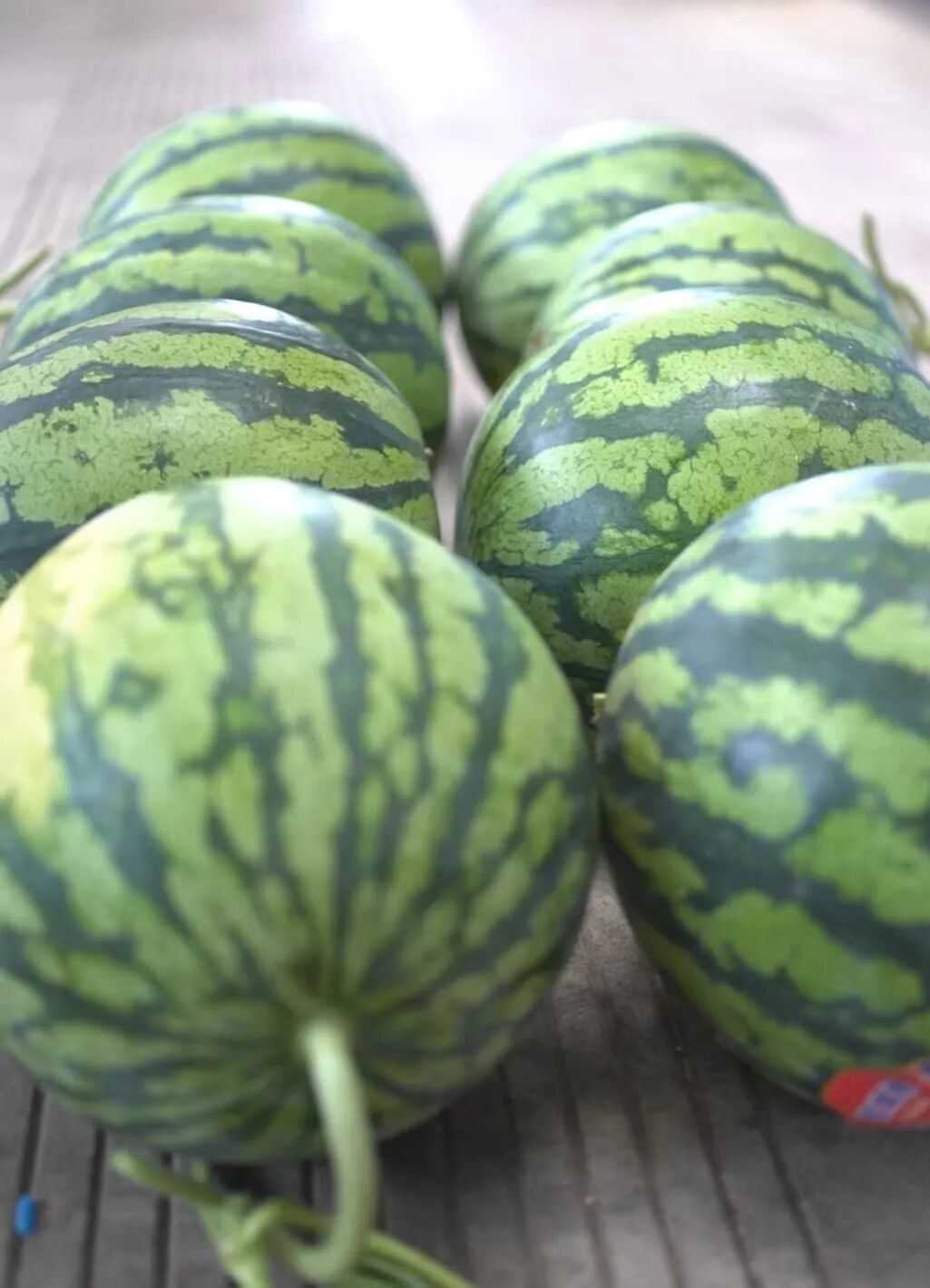 AI挑西瓜靠谱吗？记者实测被震惊：这结局真猜不到！