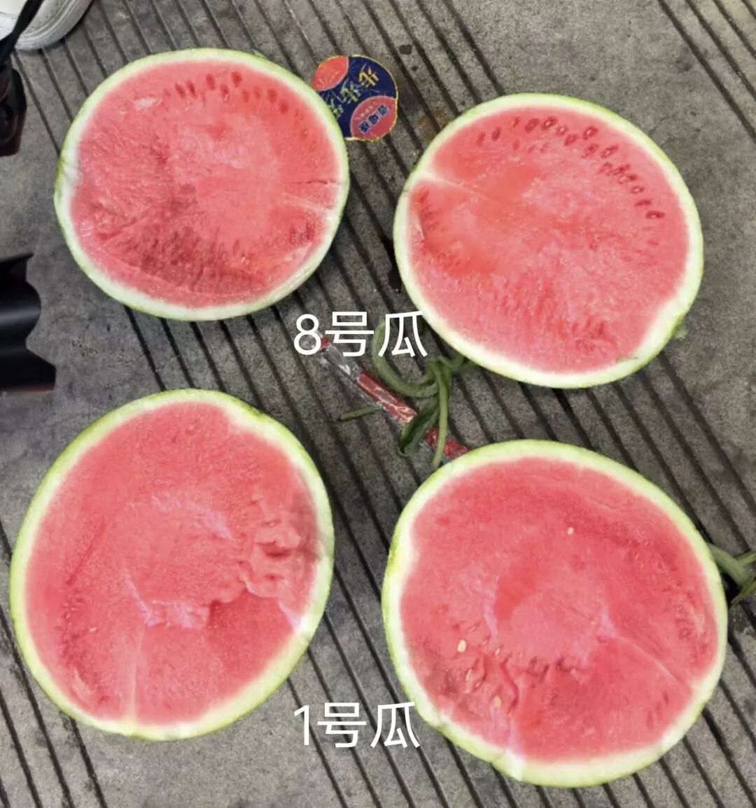 AI挑西瓜靠谱吗？记者实测被震惊：这结局真猜不到！