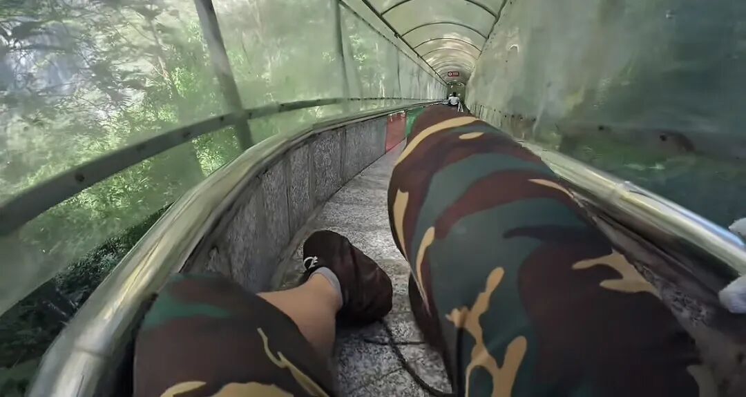 游客在景区玩滑道遇1米长蛇