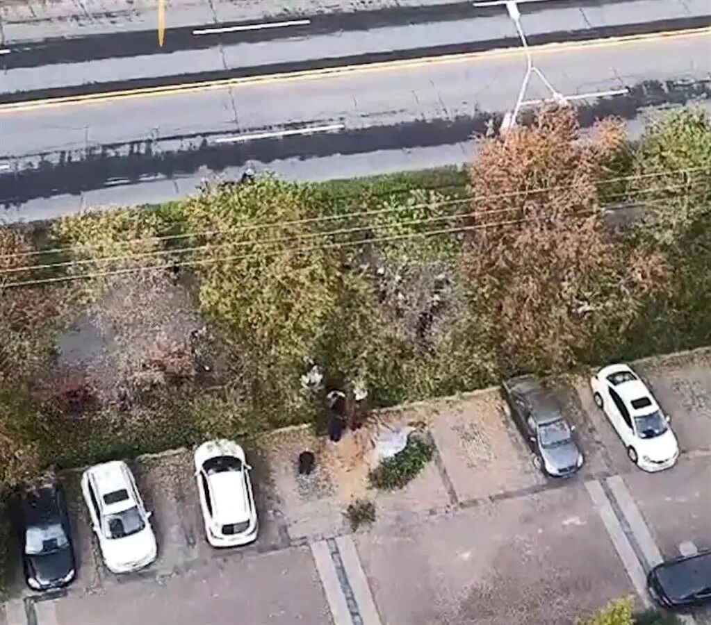 ҵ���Ż������Ӿ���С�����̻����ڿ���ĸ���ٷ���Ӧ��