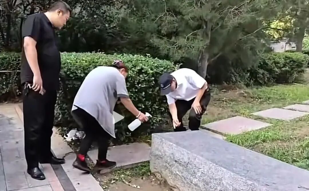 河北一女子带5盒蟑螂到小区放生，被制止时反怼“你凭什么拍”