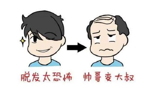 脂溢性脱发的症状？溢性脱发怎么办！