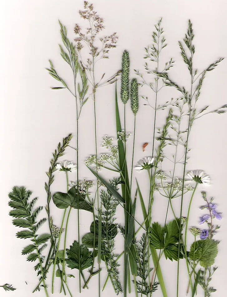 和男生谈恋爱技巧 如何撩男生让他对你好感度上升