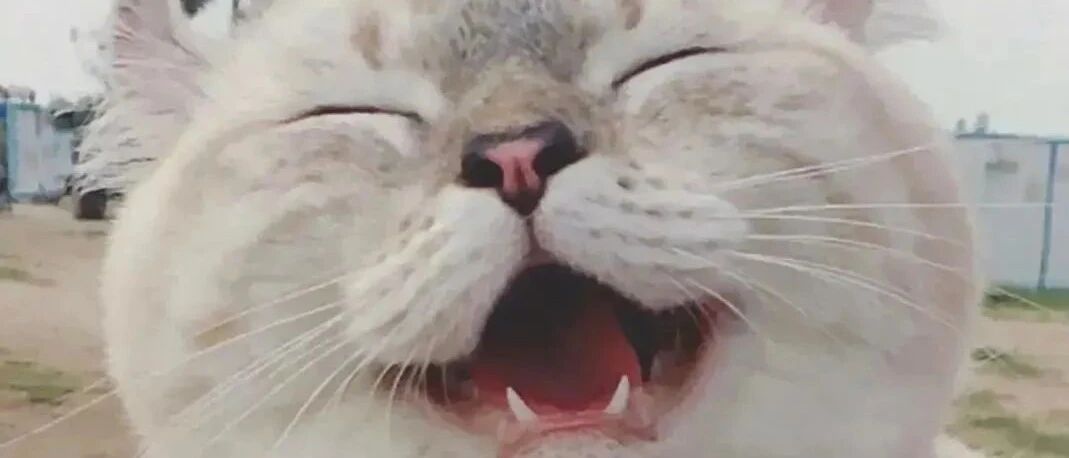 正能量的一段话