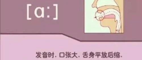 英语48个音标发音（附详解+视频），太全了！