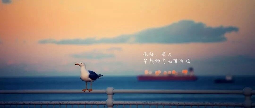 “你的勤奋不是表演给别人看的！”高中是不是只有拼命，才算得上努力？