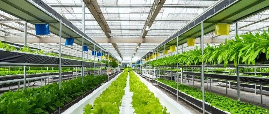 “两会”告诉我们：这些大学专业要吃香了