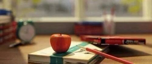 “物化生”和“物化地”两种选科在学习和未来规划上有哪些不同？