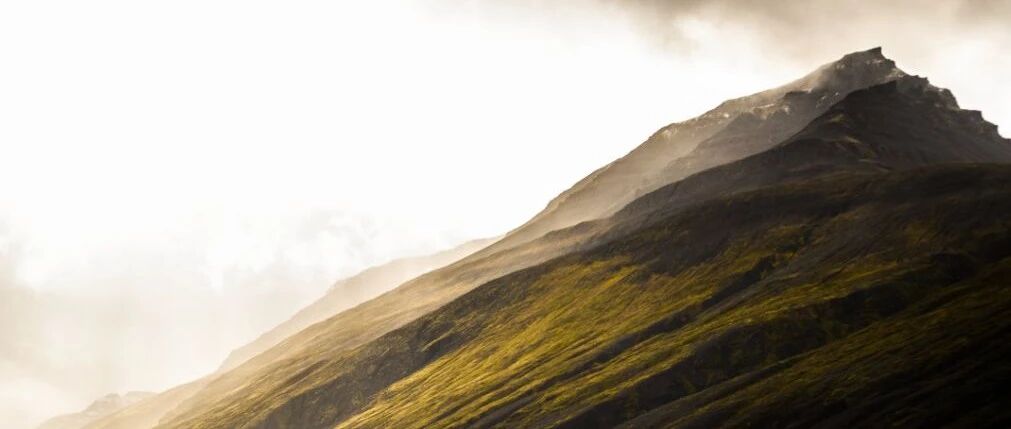 历史技巧丨高考历史选择题材料都看不懂？一看就懂的黄金解题技巧给你！