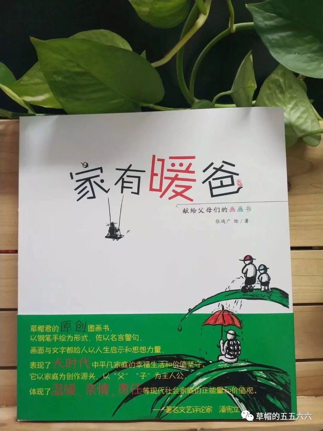 家有暖爸 书评 慢慢走 慢慢看 慢慢留下平凡生活幸福的脚印 草帽的五五六六 微信公众号文章阅读 Wemp